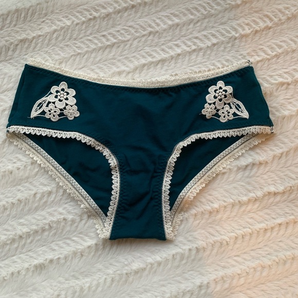 Free People Cheyenne Hipster Panty - Picture 4 of 12